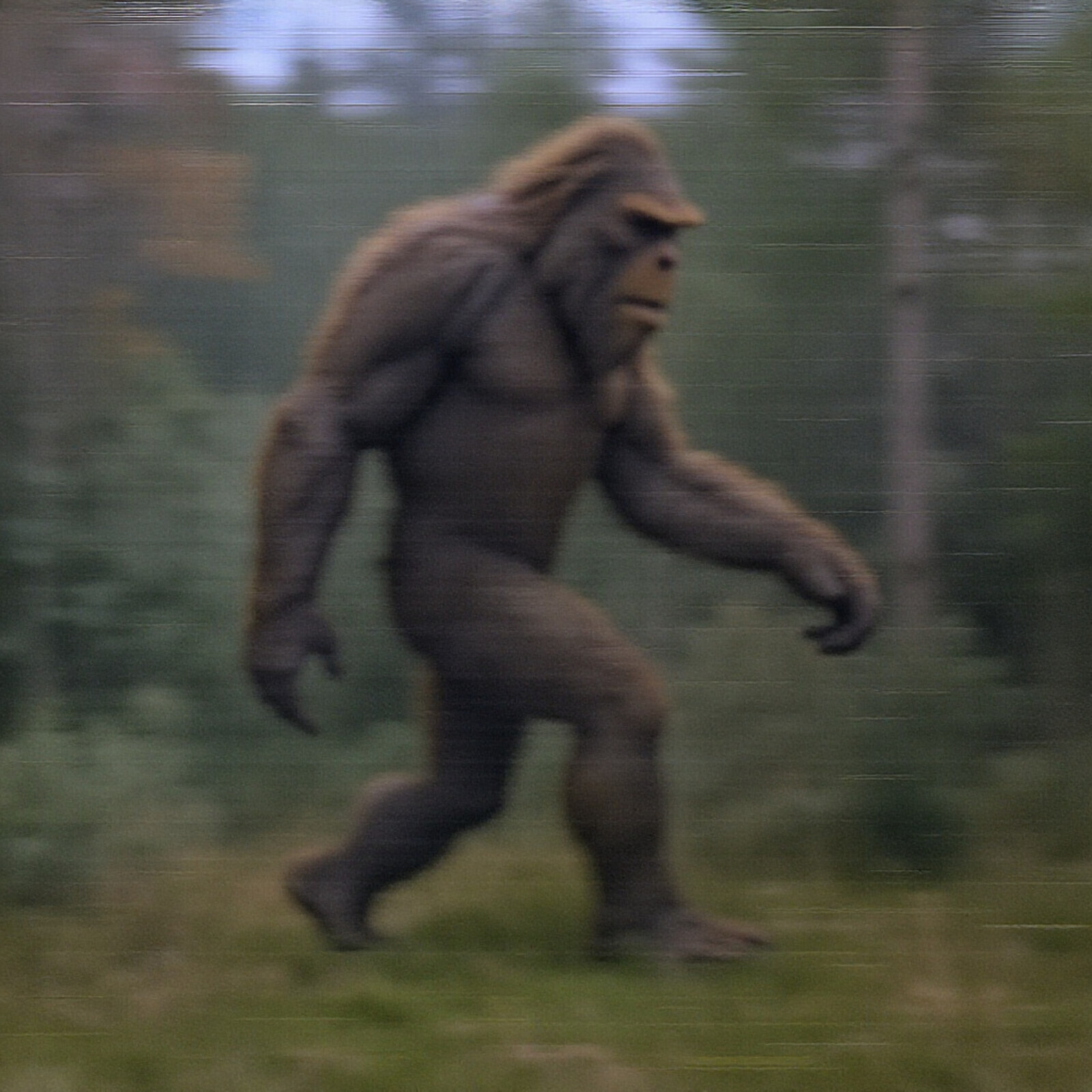 Bigfoot